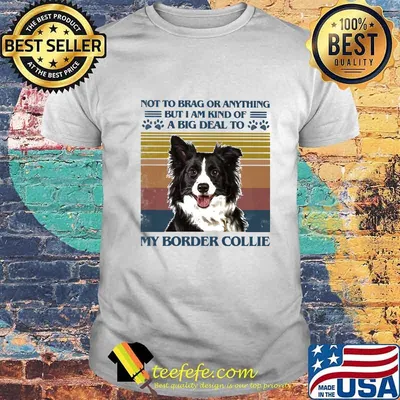 NOT TO BRAG OR ANYTHING BUT I AM KIND OF A BIG DEAL TO MY BORDER COLLIE VINTAGE RETRO SHIRT
