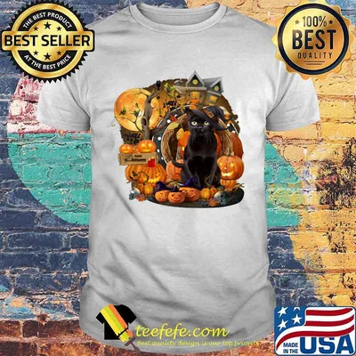Official Black Cat Witch Pumpkin Witch Halloween shirt