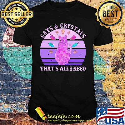 Official Cats and crystals that’s all i need vintage retro shirt