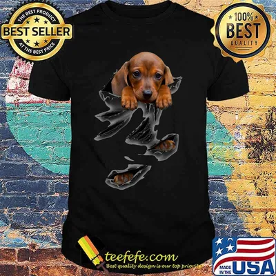 Official dachshund dog scratched shirt