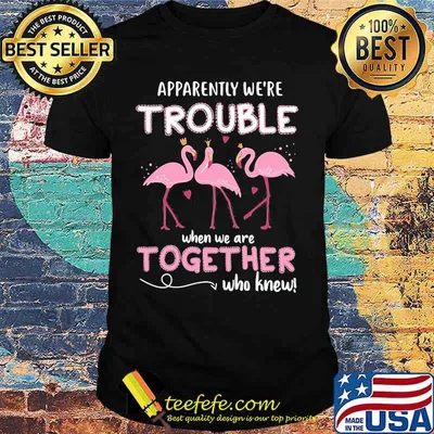 Official Flamingo Apparently we're trouble when we are together who knew shirt