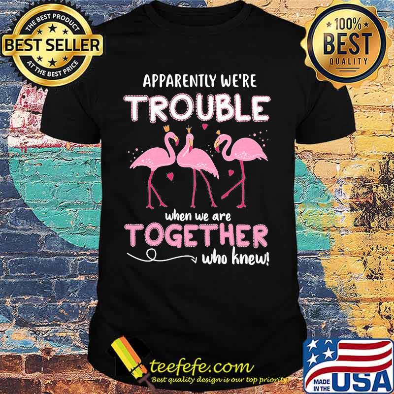 Official Flamingo Apparently we're trouble when we are together who knew shirt