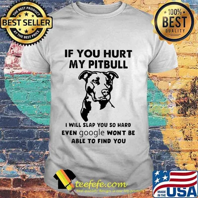 Official If You Hurt My Pitbull I Will Slap You So Hard Even Google Won't Be Able To Find You Shirt