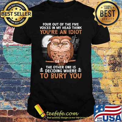 Owl asleep four out of the five voices in my head think you're an idiot the other one is deciding where to bury you shirt
