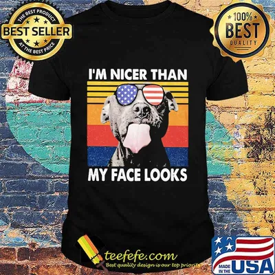 Pitbull I'm nicer than my face looks Glass America vintage retro shirt
