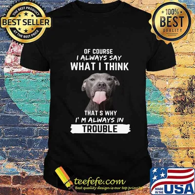 Pitbull of course i always say what i think thats why i'm always in trouble shirt