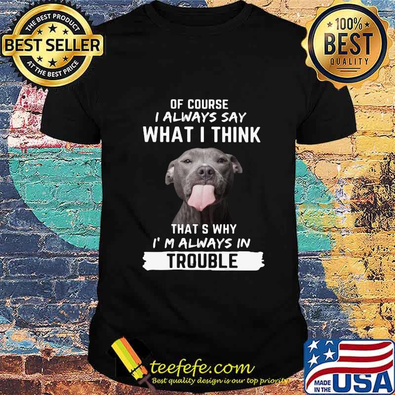Pitbull of course i always say what i think thats why i'm always in trouble shirt