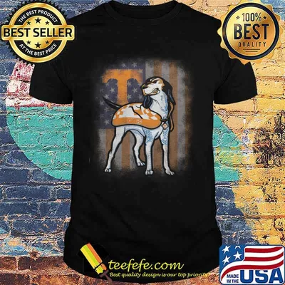 Pointer volunteer tennessee american flag independence day shirt