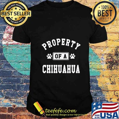 Property Of A Chihuahua - Chihuahua Lover Shirt shirt
