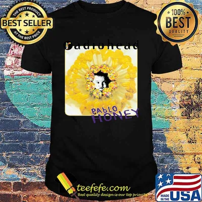 Radiohead pablo honey flower shirt