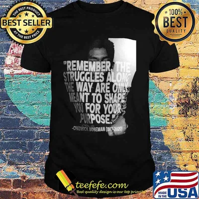 Remember the struggles along the way are only meant to shape you for your purpose black panther rip chadwick 1976 2020 picture shirt