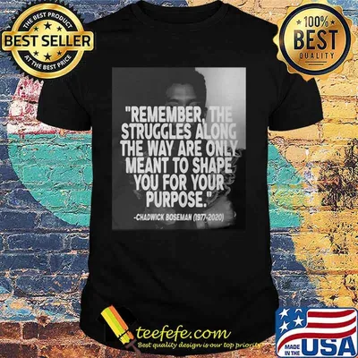 Remember the struggles along the way are only meant to shape you for your purpose black panther rip chadwick 1976 2020 shirt