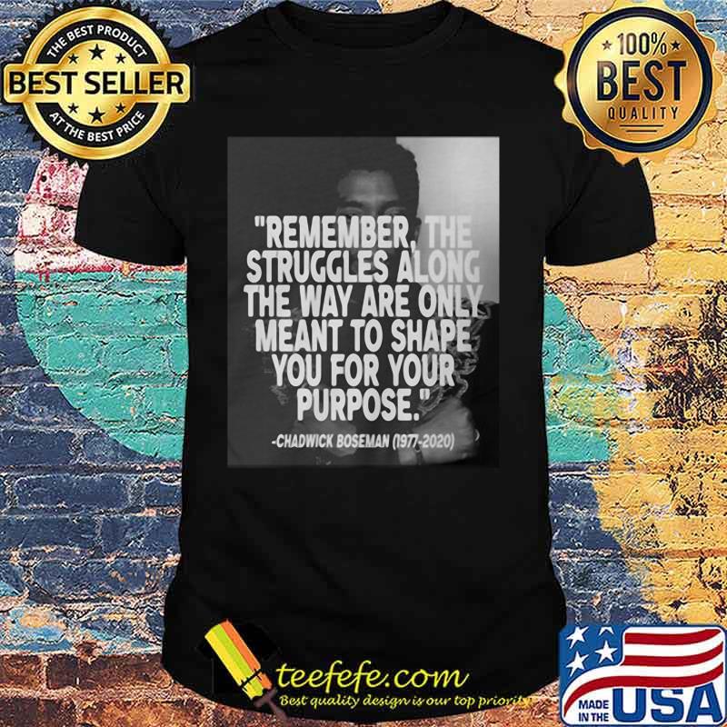 Remember the struggles along the way are only meant to shape you for your purpose black panther rip chadwick 1976 2020 shirt