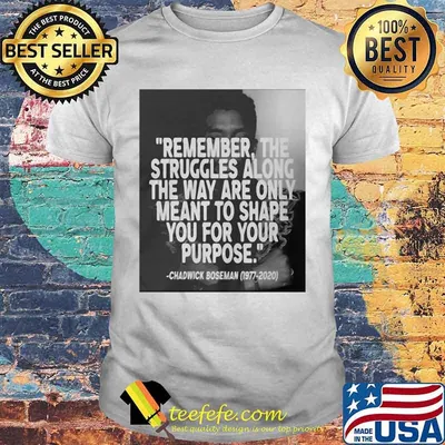 Remember the struggles along the way are only meant to shape you for your purpose black panther rip chadwick 1976 2020 shirt