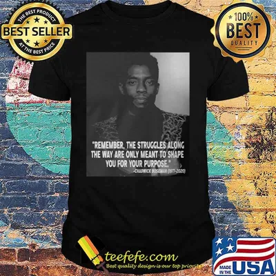 Remember the struggles along the way are only meant to shape you for your purpose rip chadwick black panther 1976 2020 shirt