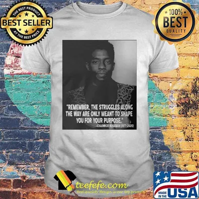 Remember the struggles along the way are only meant to shape you for your purpose rip chadwick black panther 1976 2020 shirt