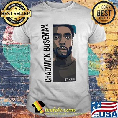 Rip chadwick black panther 1977 2020 art shirt