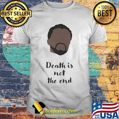 Rip chadwick black panther death is not the end shirt