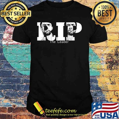 Rip chadwick boseman black panther the leader shirt