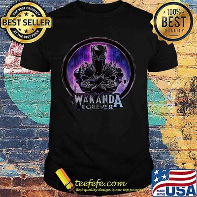 RIP Marvel heroes black panther chadwick wakanda forever shirt
