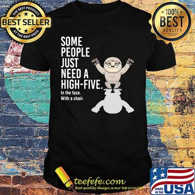 Sloth some people just need a hight five in the face with a chair shirt