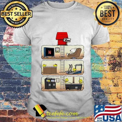 Snoopy and woodstock stay home shirt