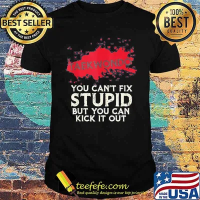 Taekwondo you can't fix stupid but you can kick it out shirt