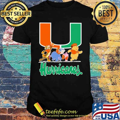The mini adventures of winnie the pooh hurricanes shirt