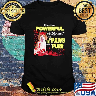 THE MOST POWERFULL ANTIDEPRESSANT HAS PAWS AND A PURR SHIRT