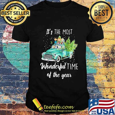 The peanuts it's the most wonderful time of the year shirt