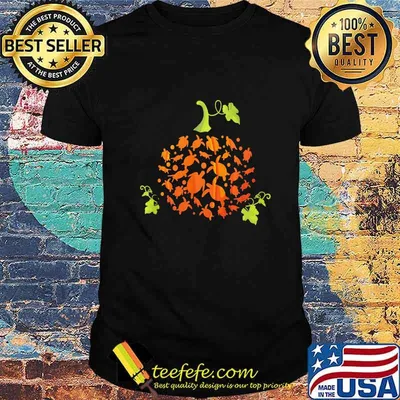 THE PUMPKIN TURTLE HALLOWEEN SHIRT