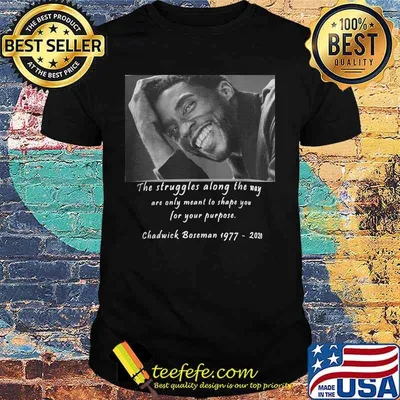 The struggles along the way are only meant to shape you for your purpose rip chadwick black panther 1976 2020 shirt