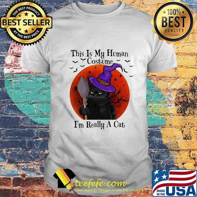 This Is My Human Costume I'm Really A Cat Witch Sunset Halloween Shirt