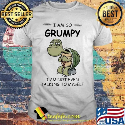 Turtles i am so grumpy i am not even talking to myself shirt