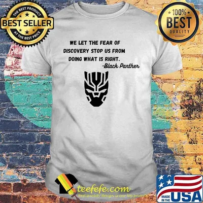 We let the fear of discovery stop us from doing what is right black panther rip chadwick shirt