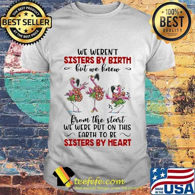 We Weren’t Sisters By Birth But We Knew From The Start We Were Put On This Earth To Be Sisters By Heart Flamingos Shirt