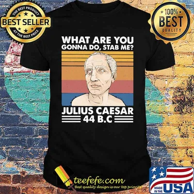 what are you gonna do stab me julius caesar 44 B.C vintage retro shirt