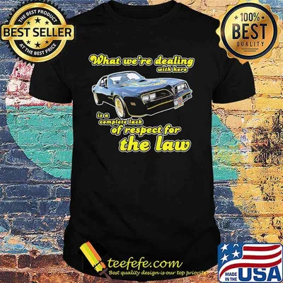 What we're dealing with here is a complete lack of respect for the law car shirt