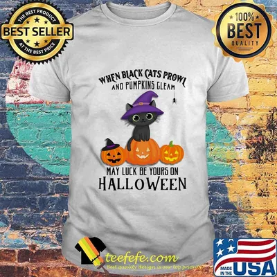 When black cats prowl and pumpkins gleam may luck be yours on halloween pumpkins shirt