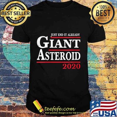 Womens Funny 2020 Before Election Day Asteroid Just End It Already V-Neck T-Shirt