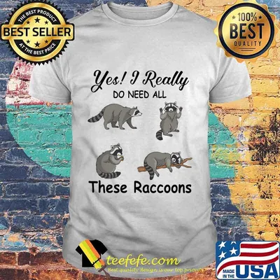 Yes i really do need all these raccoons shirt