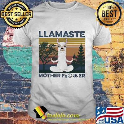 Yoga llamaste mother fucker vintage retro shirt