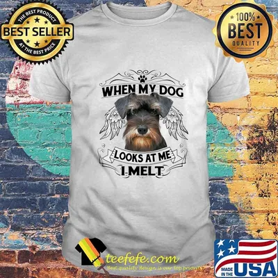 Yorkie when my paw dog looks at me i melt shirt