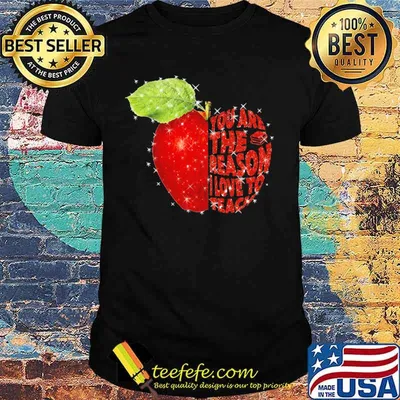 YOU ARE THE REASON I LOVE TO TEACH APPLE SHIRT