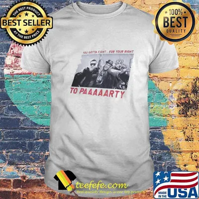 You gotta fight for your right to party beastie boy shirt