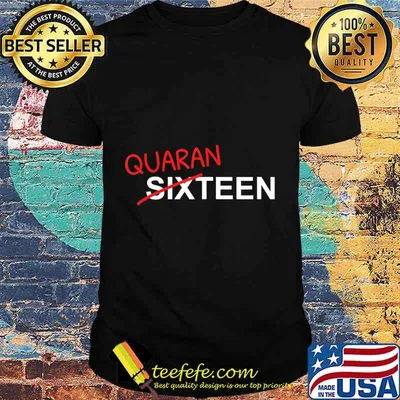 16 Year Old Birthday Gift For Boys and Girls In Quarantine T-Shirt