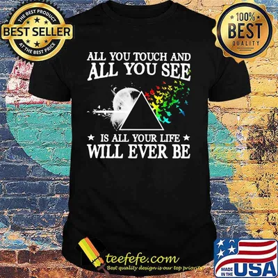 All you touch and all you see is all your life will ever be pink floyd shirt