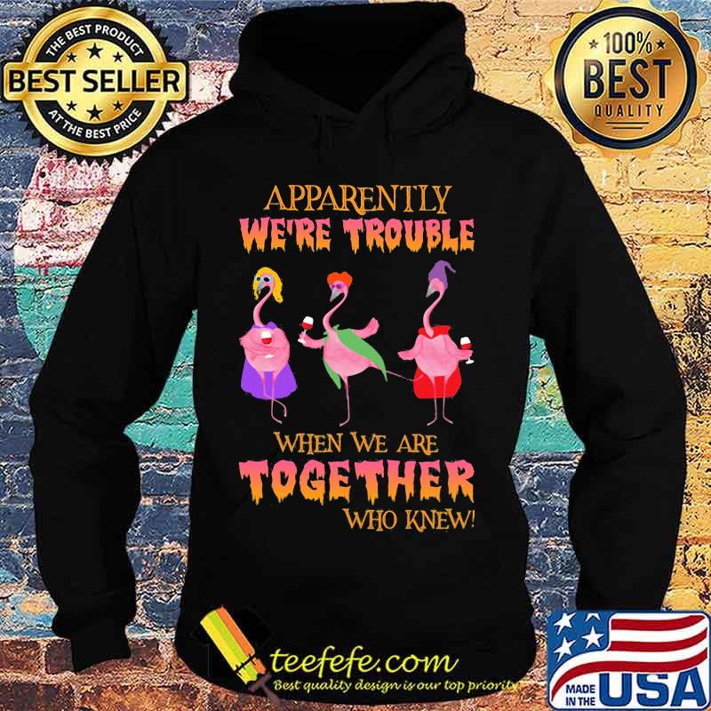 Apparently We're Trouble When We Are Together Who Knew Wine Flamingo Witch Halloween Shirt Hoodie Apparently We're Trouble When We Are Together Who Knew Wine Flamingo Witch Halloween Shirt Hoodie