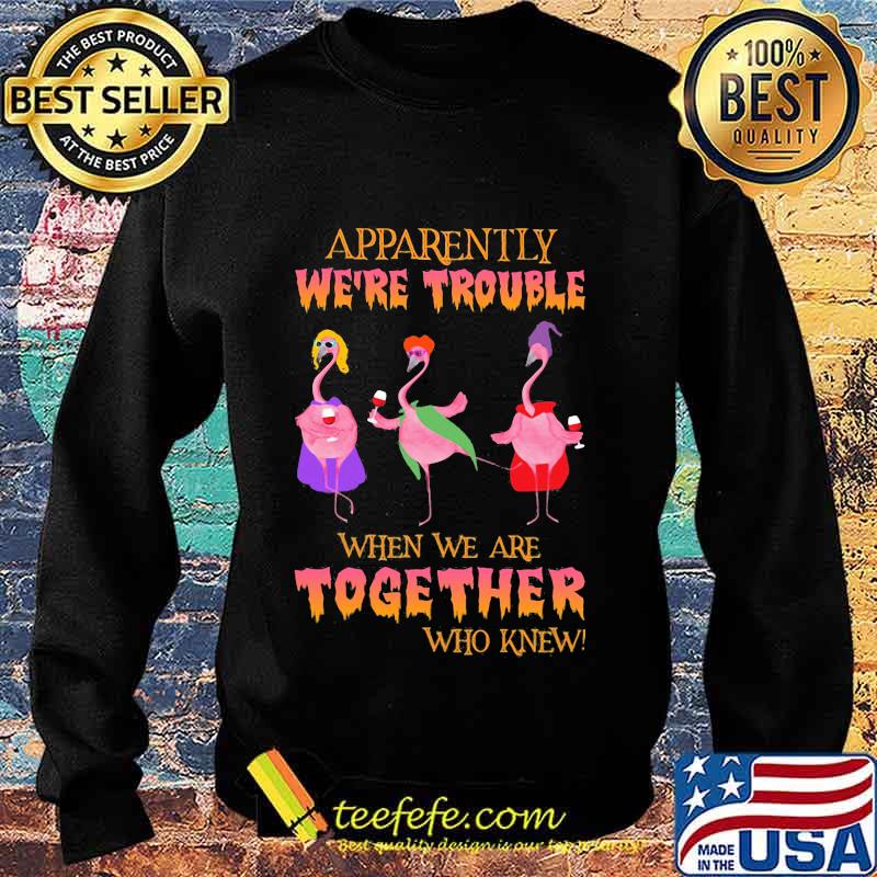 Apparently We're Trouble When We Are Together Who Knew Wine Flamingo Witch Halloween Shirt Sweater Apparently We're Trouble When We Are Together Who Knew Wine Flamingo Witch Halloween Shirt Sweater