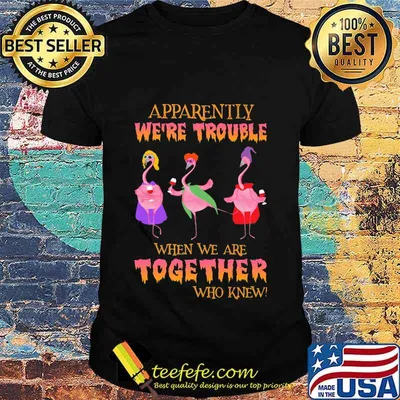 Apparently We're Trouble When We Are Together Who Knew Wine Flamingo Witch Halloween Shirt